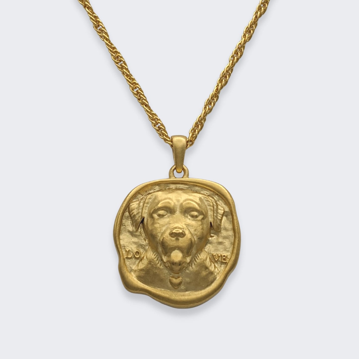 lars reversible dog coin necklace in 18k gold vermeil (front view)