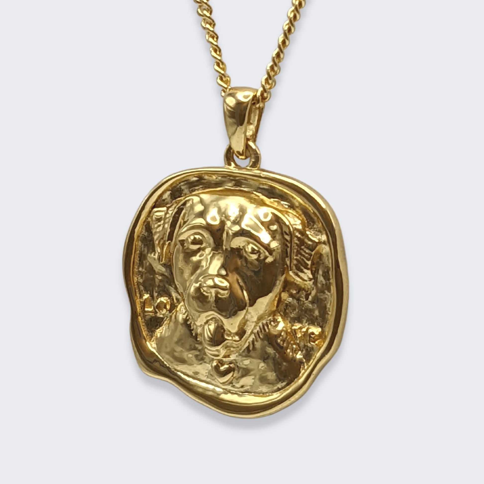 lars dog coin necklace in 18k gold vermeil (left side view)