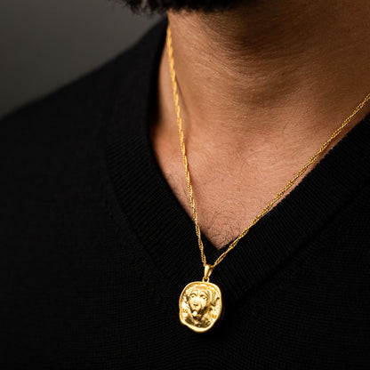 male model wearing the lars reversible dog coin necklace in 18k gold vermeil